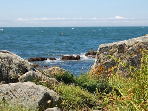 Sentier des Douaniers - GR 34